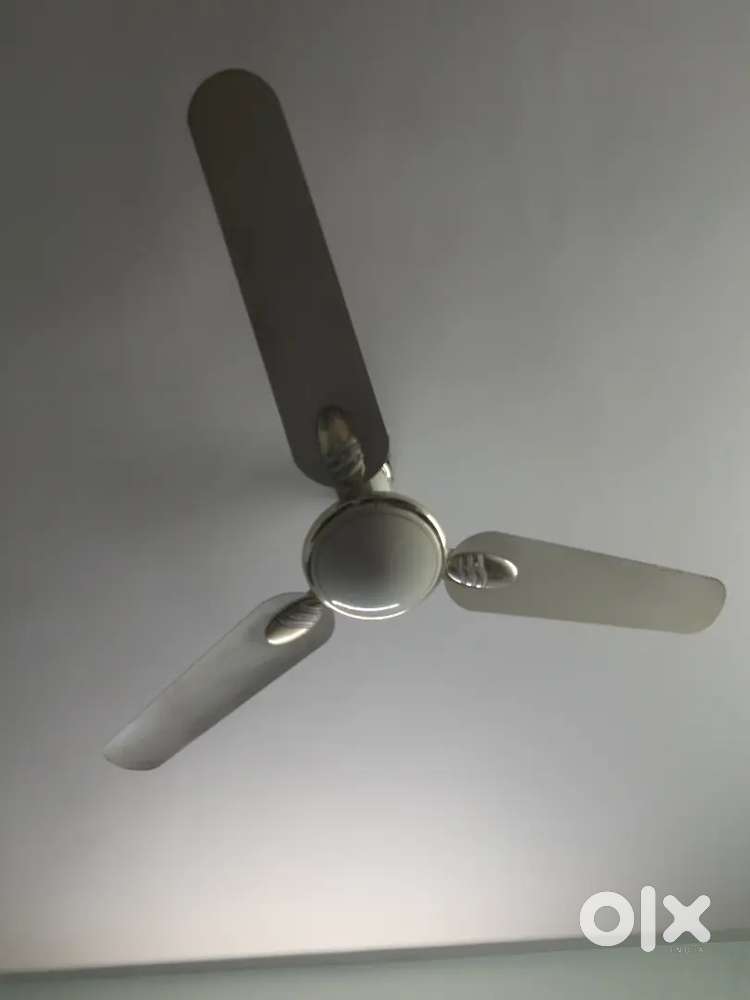 Bajaj Grace Gold DX Ceiling Fan