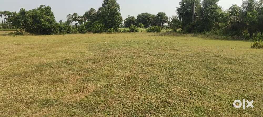 ** Land for sale **