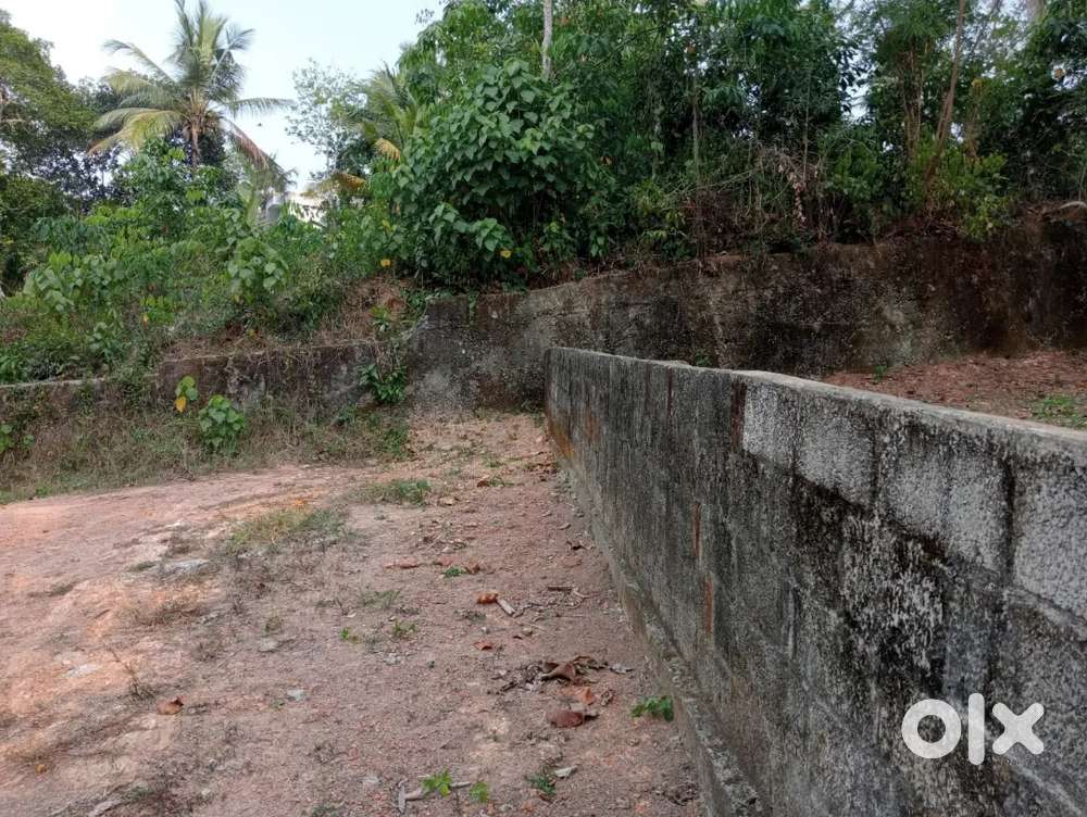 PLOT FOR SALE AT PEYAD