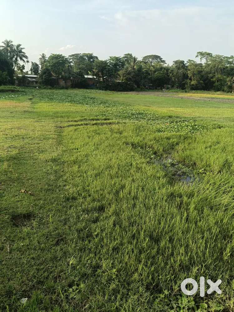 4katha land near changsari (dhoptari silbharal) kosari pothar