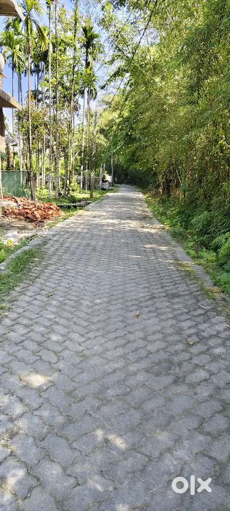 50 lesa land sell at Majgaon 100 mtr from highways