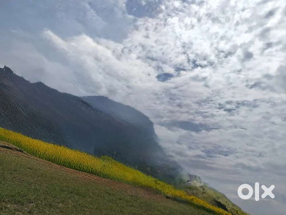 Plot for sale minimum rate 8 kanals land 2.40 lakh per marla