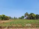 Plot for sale