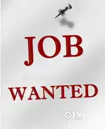 Helper wanted