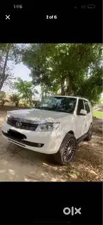 Safari strome