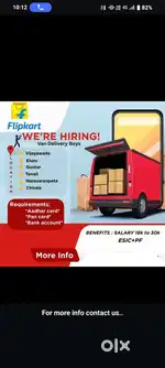 Van delivery boy