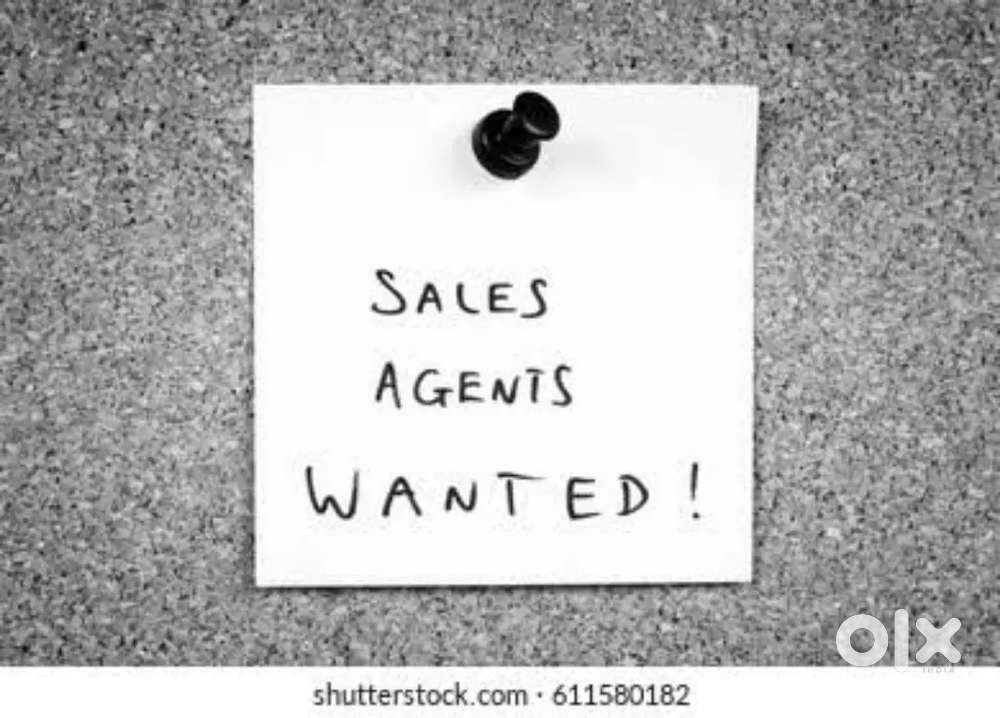 Sales Agent and Marketing Managers