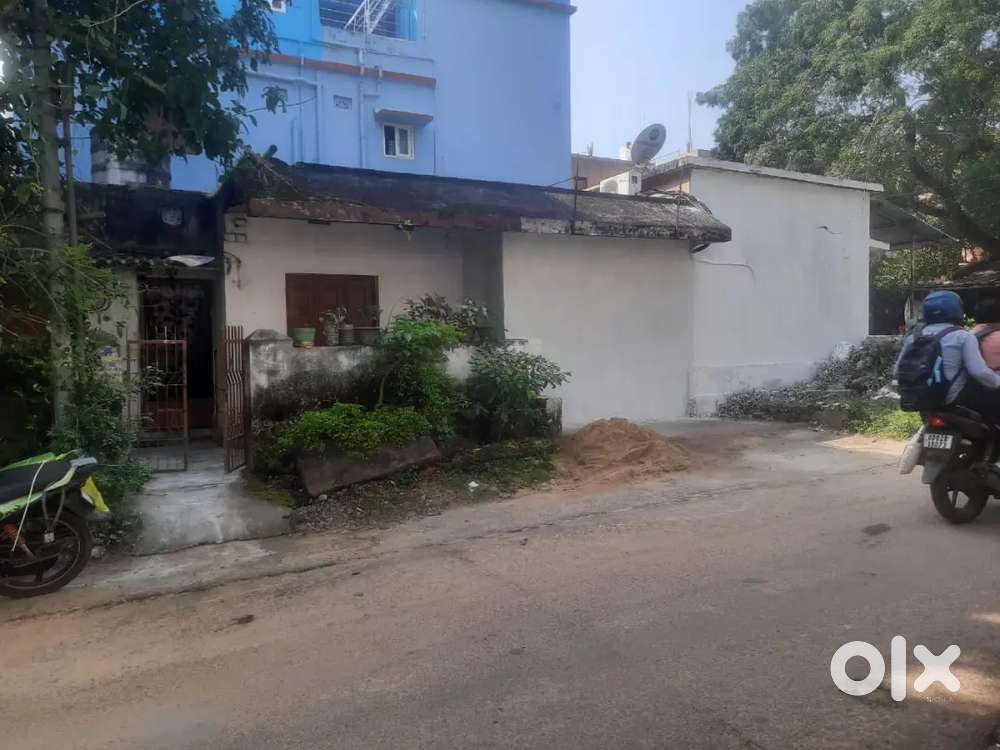 House is located at the corner space