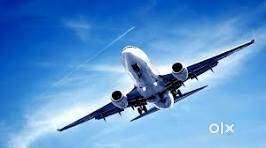 URGENT REQUIREMENT FOR TICKETING EXECUTIVE AND GROUND STAFF IN AIRPORT