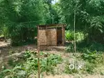 Sale plot for genuine buyer