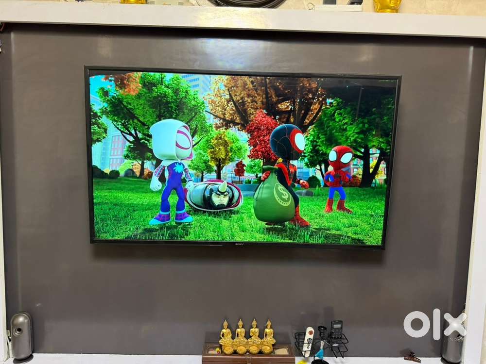 TV 43 inch & 55 inch, used less than 3Months