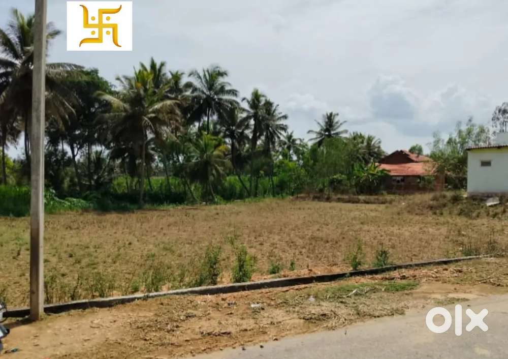 ALIENATION SITE DDLR APROVED