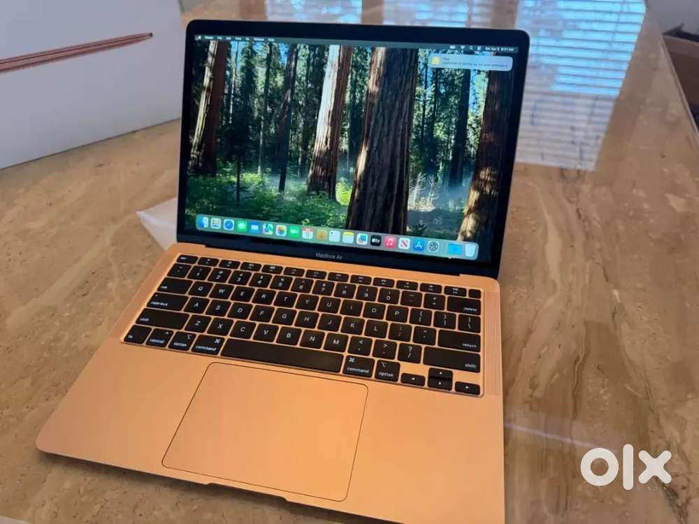 Apple MacBook Air 13.3 Retina i3 1.1GHz Dual-Core 8GB Ram 256GB SSD