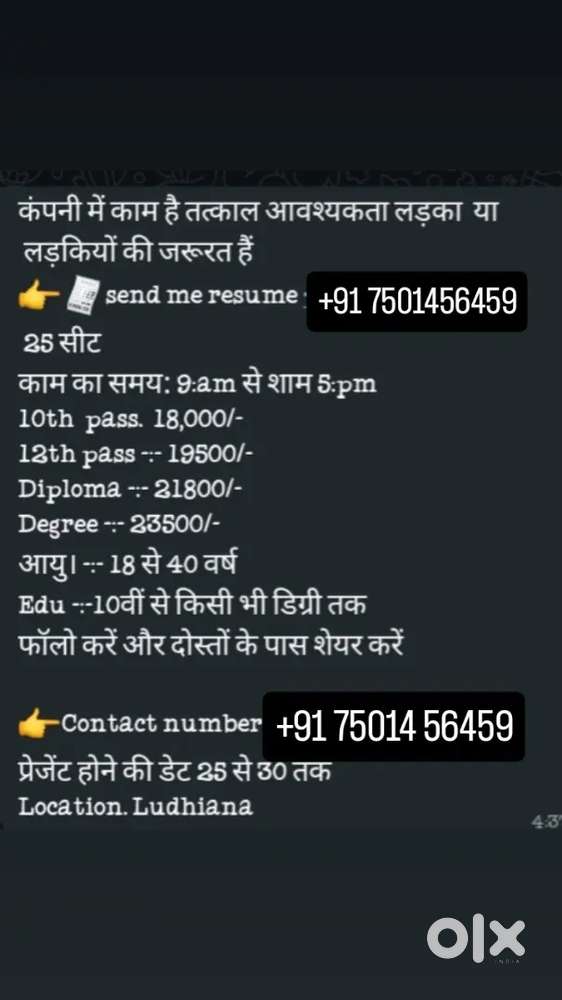 Fashion garment industry