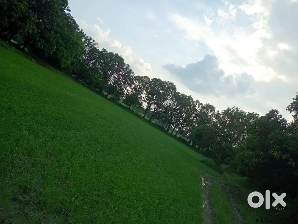 shuklaganj unnao indrani nagar near highway marala chauraha