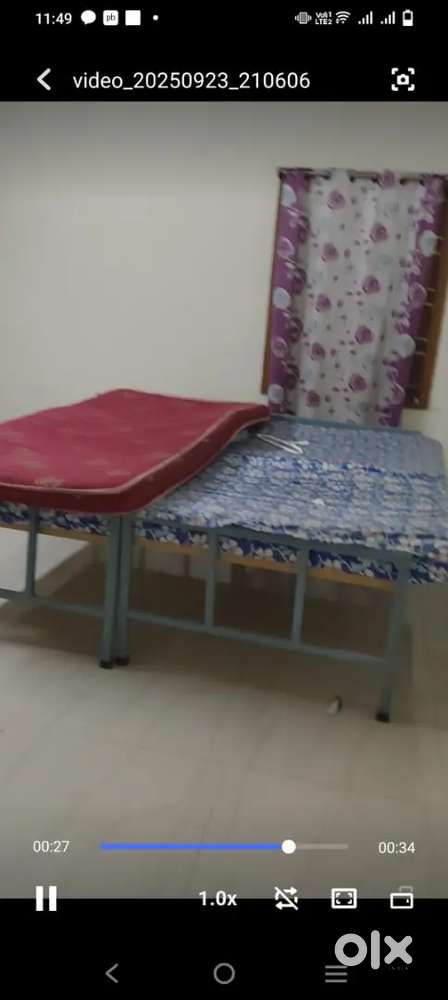 Wanted roommate female