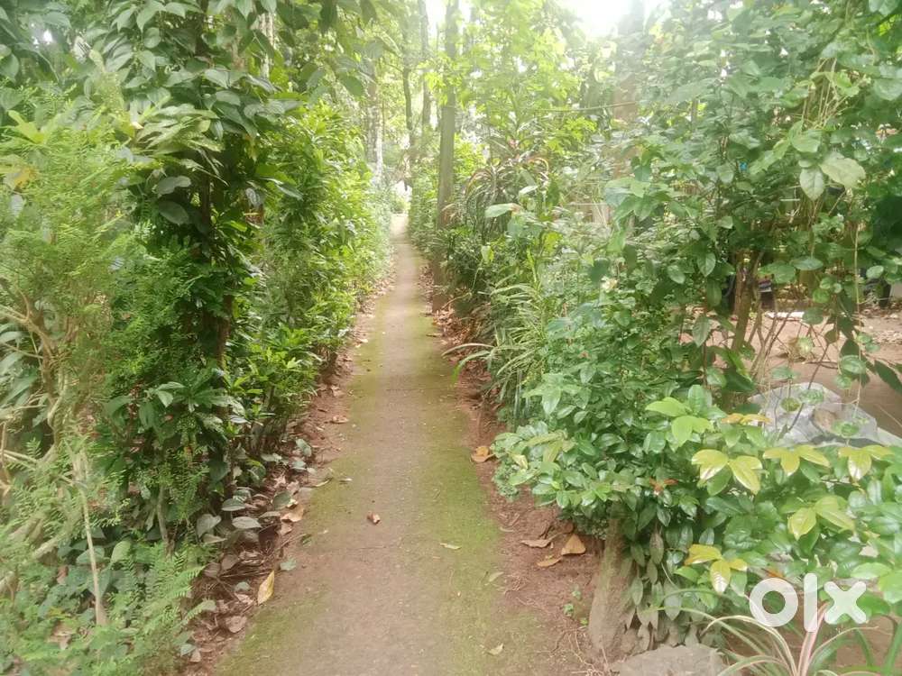 Plot for sale near nilamel paripally road
