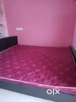 Damro wood bed