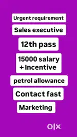 Sales executive