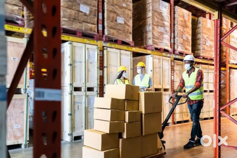 New job opportunities in warehouse company