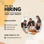 Sales executive