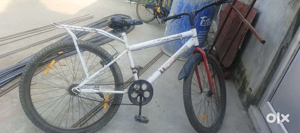 A best cycle 5 month old