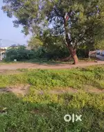 11.75 Guntas,(1422  Square Yards) plot for sale in Sirpur Kagaz Nagar
