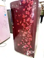 65 Samsung fridge inbuild steblizer
