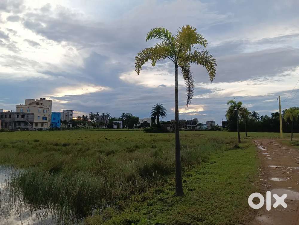 Plots are available in Cuttack,bbsr , puri