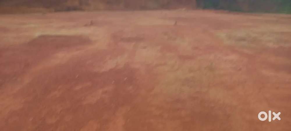 Malki land 50%discount sale