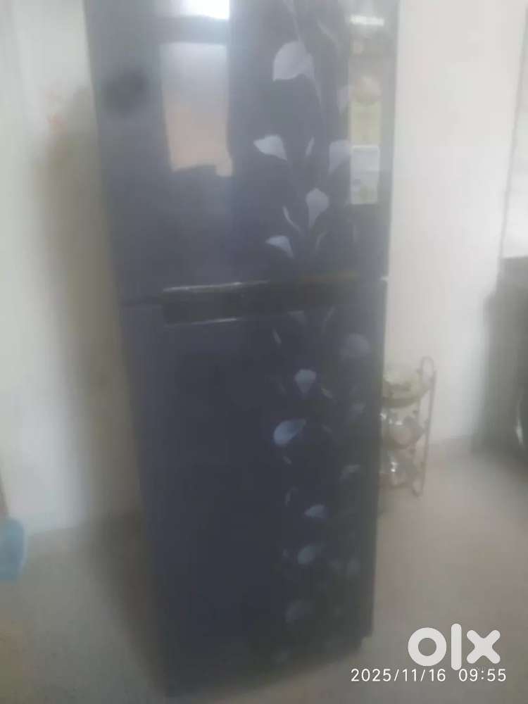 Samsung dibble dooor 2 star