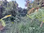 2 Acres of Prime Property near Kundanoor/ Maradu