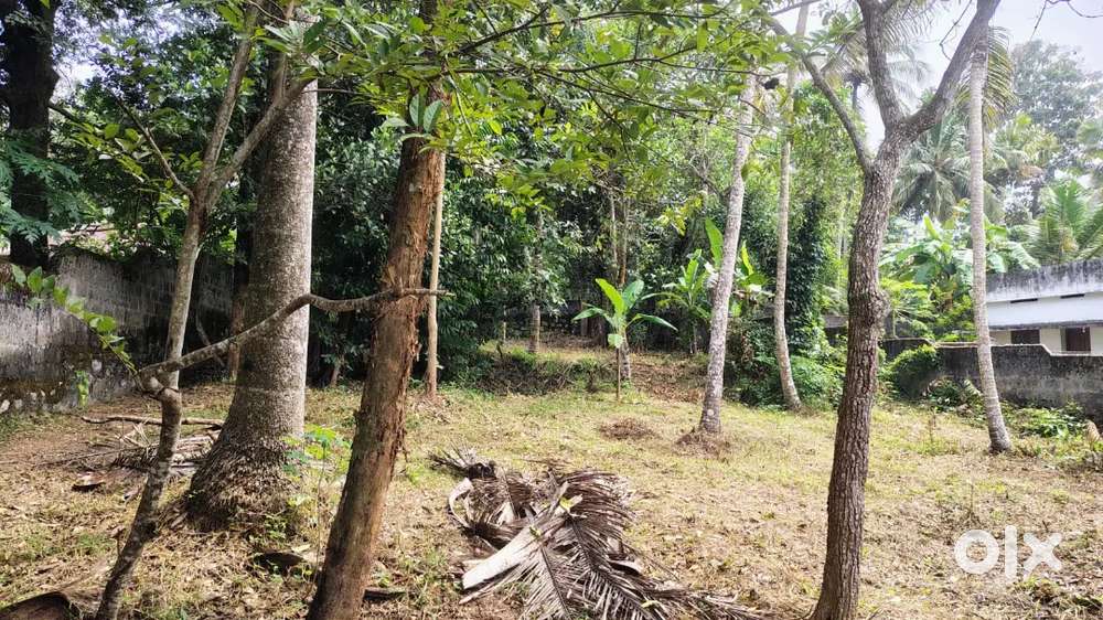 14cent near keezattingal phc