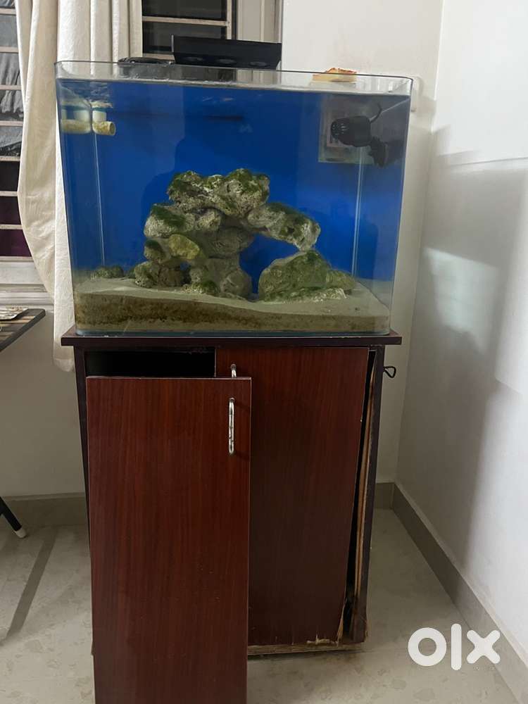 Marine tank for sale