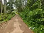 Muvattupuzha arakuzha 70 cent for sale