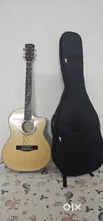 Guitar Vienna with bag