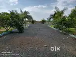 165 SQYDS DEVELOPED PLOTS 8LAKHS only