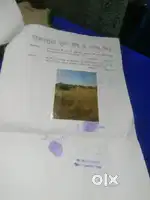 Agriculture land