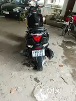 My scooty seal