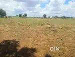 2 acres agriculture land for sale,Near Karimnagar Highway