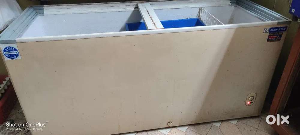 Bluestar Deep Fridge 500 ltrs
