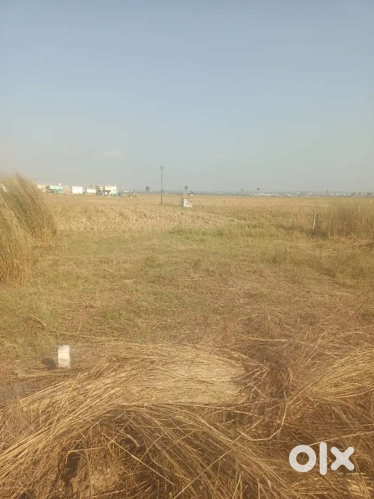 2021 REGISTERED DOCUMENT WITH LINK DOCUMENTS