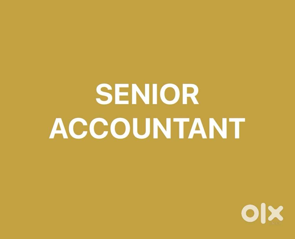 Looking for a senior accountant