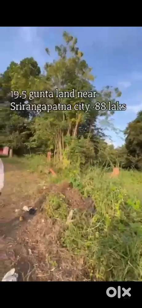 19.5kunta  land for sale srirangapatna near mysore