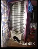 LG Refrigerator