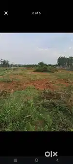 Agriculture land for sale