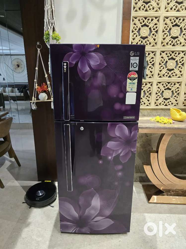 LG 260 Litre Double Door Fridge