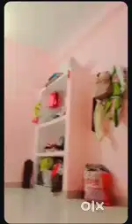 Need a girl room partner