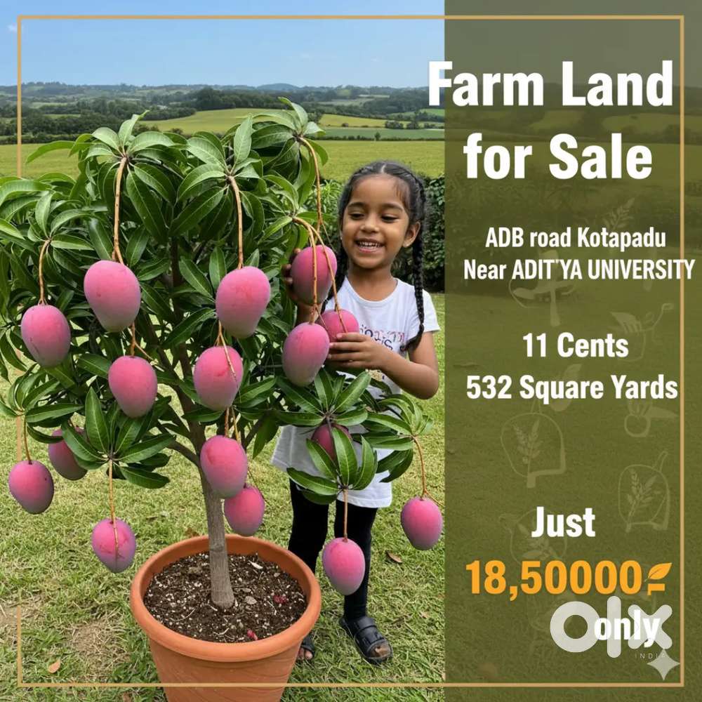 Farm land for sale. 532 s/ds just 18.5 lakhs only