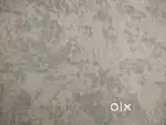 Fridge single door
